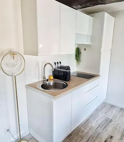 Apartmán 4-pieds Cite - Barbacane - Historique - Romantique - Clim